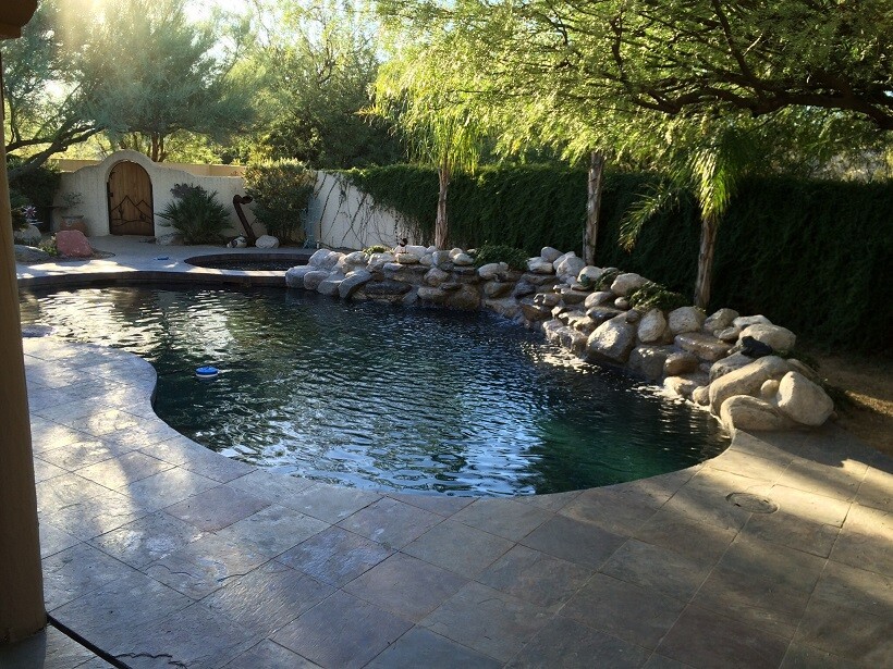 omni pool builders and design