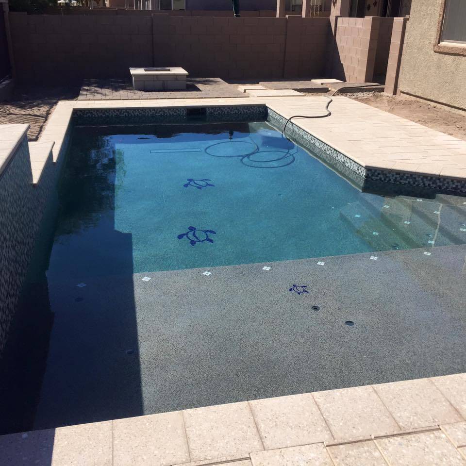 omni pool builders and design